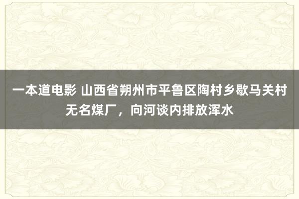 一本道电影 山西省朔州市平鲁区陶村乡歇马关村无名煤厂，向河谈内排放浑水