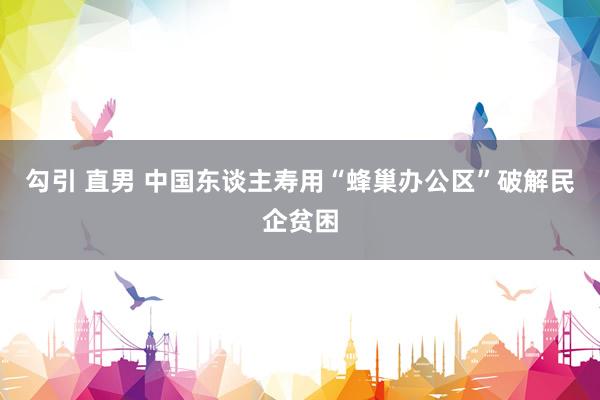 勾引 直男 中国东谈主寿用“蜂巢办公区”破解民企贫困