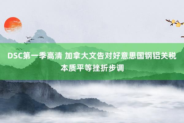DSC第一季高清 加拿大文告对好意思国钢铝关税本质平等挫折步调