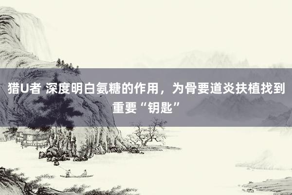 猎U者 深度明白氨糖的作用，为骨要道炎扶植找到重要“钥匙”