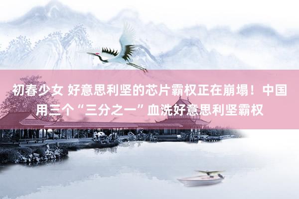 初春少女 好意思利坚的芯片霸权正在崩塌！中国用三个“三分之一”血洗好意思利坚霸权