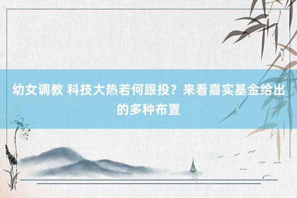 幼女调教 科技大热若何跟投？来看嘉实基金给出的多种布置