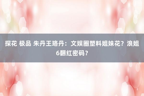 探花 极品 朱丹王珞丹：文娱圈塑料姐妹花？浪姐6翻红密码？