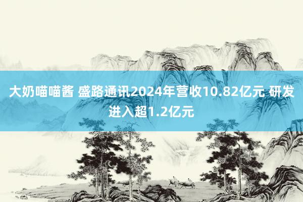 大奶喵喵酱 盛路通讯2024年营收10.82亿元 研发进入超1.2亿元