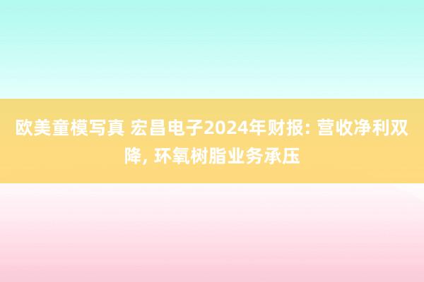 欧美童模写真 宏昌电子2024年财报: 营收净利双降， 环氧树脂业务承压