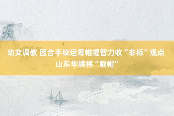 幼女调教 因合手续运筹帷幄智力收“非标”观点 山东华鹏将“戴帽”