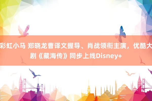 彩虹小马 郑晓龙曹译文握导、肖战领衔主演，优酷大剧《藏海传》同步上线Disney+