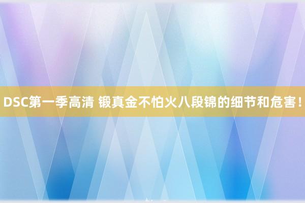 DSC第一季高清 锻真金不怕火八段锦的细节和危害！