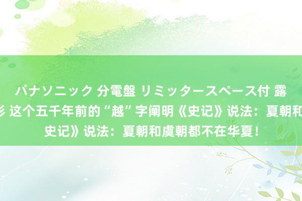 パナソニック 分電盤 リミッタースペース付 露出・半埋込両用形 这个五千年前的“越”字阐明《史记》说法：夏朝和虞朝都不在华夏！