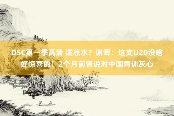 DSC第一季高清 泼凉水？谢晖：这支U20没啥好惊喜的！2个月前曾说对中国青训灰心