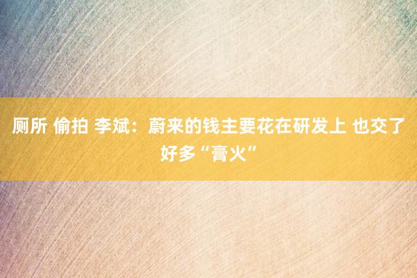 厕所 偷拍 李斌：蔚来的钱主要花在研发上 也交了好多“膏火”