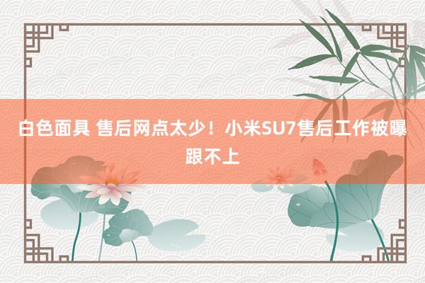 白色面具 售后网点太少！小米SU7售后工作被曝跟不上