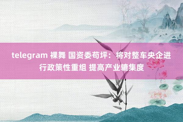 telegram 裸舞 国资委苟坪：将对整车央企进行政策性重组 提高产业辘集度