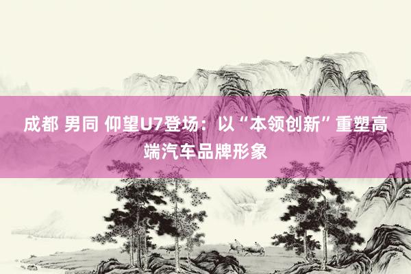 成都 男同 仰望U7登场：以“本领创新”重塑高端汽车品牌形象